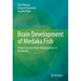 Brain Development of Medaka Fish: A New Concept of Brain Morphogenesis in Vertebrates