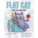 Flat Cat: The Class Pet