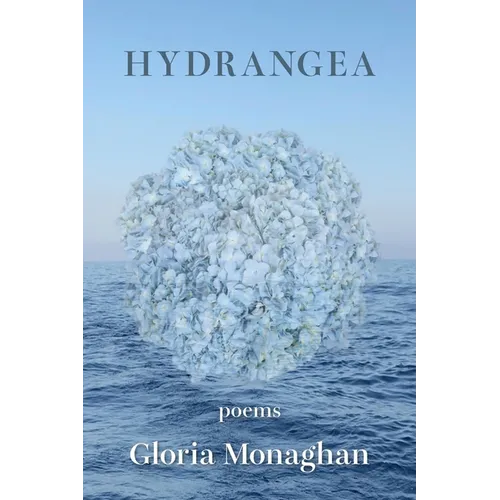 Hydrangea