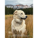 Dogs of Telluride