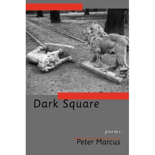 Dark Square