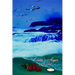 Ocean's Anger