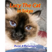 Lucy The Cat In Tokyo