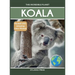 Koala: Fascinating Animal Facts for Kids