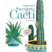 A Splendour of Succulents & Cacti