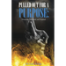 Pulled Out For A Purpose: Processed, Positioned, and Prepared