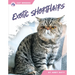 Exotic Shorthairs
