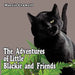 The Adventures of Little Blackie and Friends