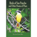 Birds of San Pancho and Other Poems of Place