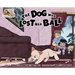 The Dog Who Lost Her Ball