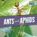 Ants and Aphids