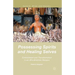 Possessing Spirits and Healing Selves: Embodiment and Transformation in an Afro-Brazilian Religion