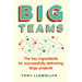 Big Teams: The Key Ingredients for Successfully Delivering Large Projects