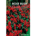 Rose Bush: Learn How To Grow A Rose Bush From A Bud, Bloom or Beyond