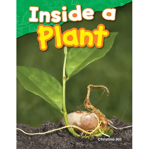 Inside a Plant