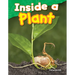 Inside a Plant