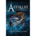 Afterlife: A Cosmic Reckoning