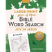 Peace of Mind Bible Word Search: Joy in Jesus