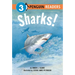 Sharks!