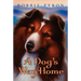 A Dog's Way Home