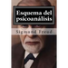 Esquema del psicoanalisis: y otros escritos de doctrina psicoanalitica