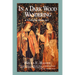 In a Dark Wood Wandering: A Novel of the Middle Ages