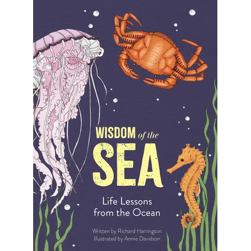 Wisdom of the Sea: Life Lessons from the Ocean