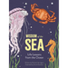 Wisdom of the Sea: Life Lessons from the Ocean