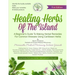 Healing Herbs Of The Island: A Beginners Guide To Making Herbal Remedies For Common Illnesses Using Caribbean Herbs