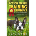 Boston Terrier Training Triumphs: A Guide to Raising the Perfect Pup