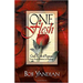 One Flesh: God's Gift of Passion: Love, Sex and Romance in Marriage