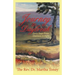 Journey to Daybreak: Forty Days From Darkness to Light