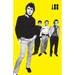 I Was a Teenage Sex Pistol
