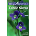 Wildflowers of the Tahoe Sierra
