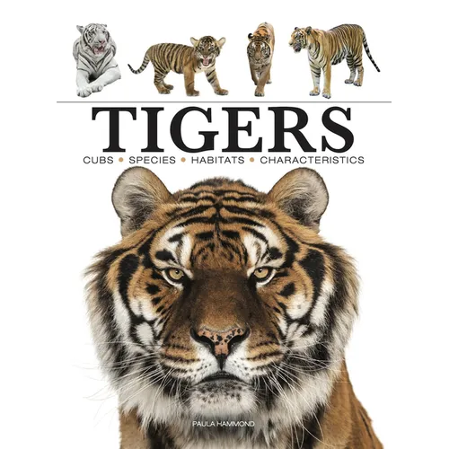 Tigers