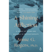 A Shining Affliction: A Story of Harm and Healing in Psychotherapy