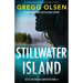Stillwater Island: An absolutely gripping mystery suspense thriller