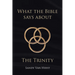 What the Bible Says About the Trinity
