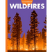 Curious about Wildfires