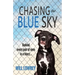 Chasing the Blue Sky