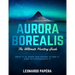 Aurora Borealis: The Ultimate Hunting Guide