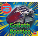 Goliath Beetles