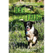 Dog Tales: 12 TRUE Dog Stories of Loyalty, Heroism and Devotion
