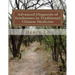Advanced Diagnosis of Syndromes in Traditional Chinese Medicine