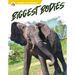 Biggest Bodies