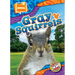 Gray Squirrels