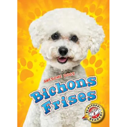 Bichons Frises