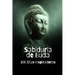Sabiduría de Buda: 100 Citas Inspiradoras
