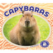 Capybaras
