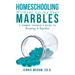 Homeschooling Without Losing Your Marbles: A Former Teacher's Guide to Keeping It Together